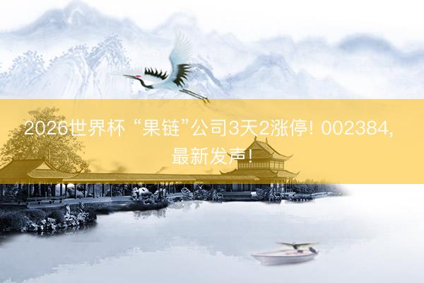 2026世界杯 “果链”公司3天2涨停! 002384, 最新发声!