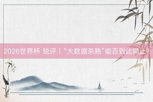 2026世界杯 锐评丨“大数据杀熟”能否到此抑止？