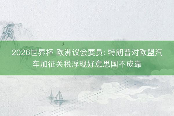 2026世界杯 欧洲议会要员: 特朗普对欧盟汽车加征关税浮现好意思国不成靠
