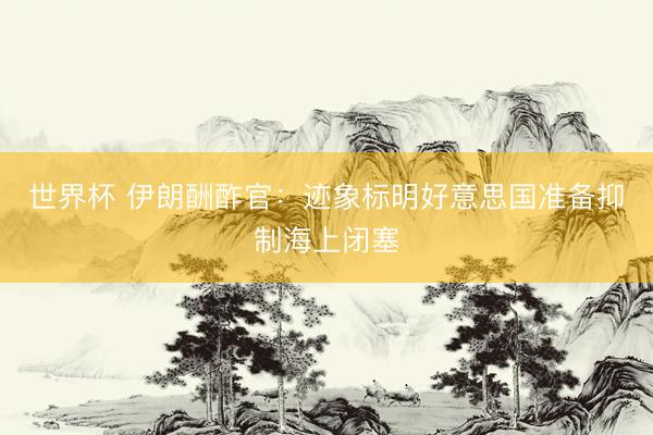 世界杯 伊朗酬酢官：迹象标明好意思国准备抑制海上闭塞